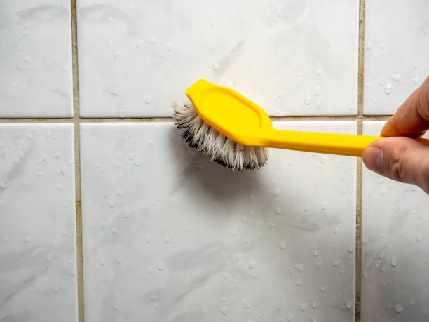 Best Professional Mold Removal  in , MS