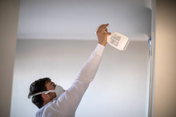 Best Black Mold Removal  in , MS
