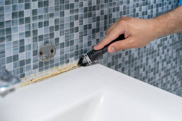 Best Mold Removal Specialists  in , MS